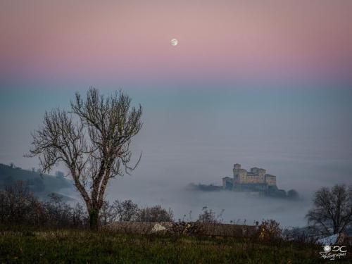 Torrechiara-19